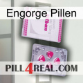 Engorge Pills 32